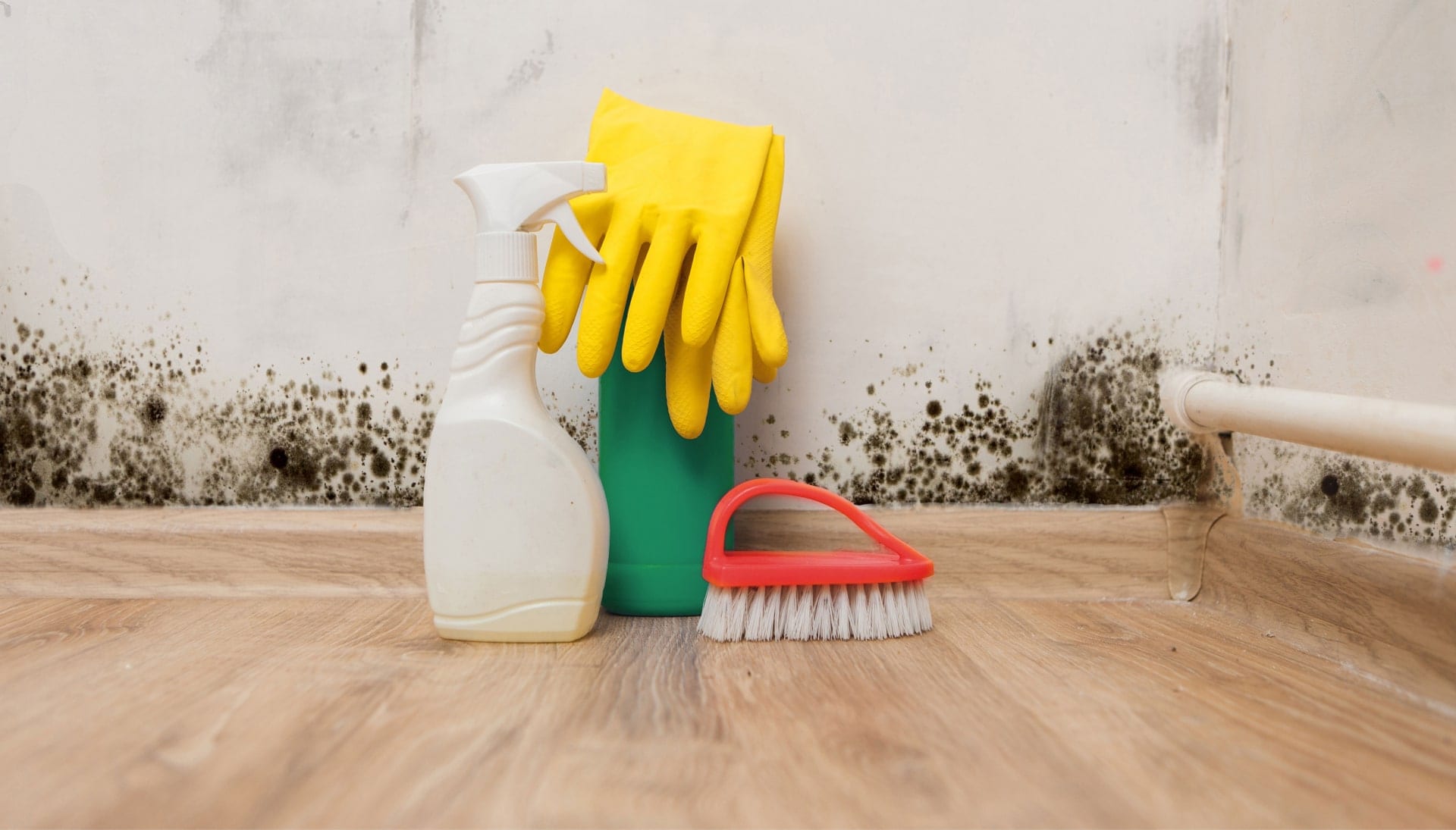 Know About Mold Removal In Arlington