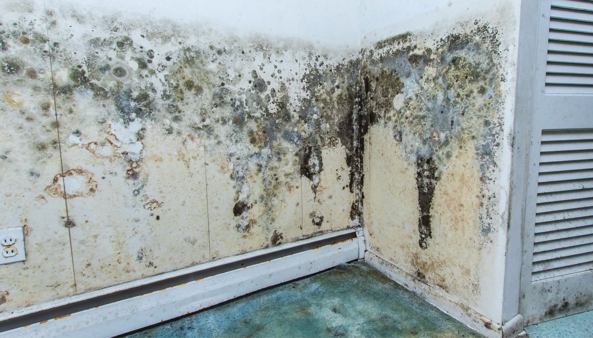 Mold Damage Odor Control Services in Arlington