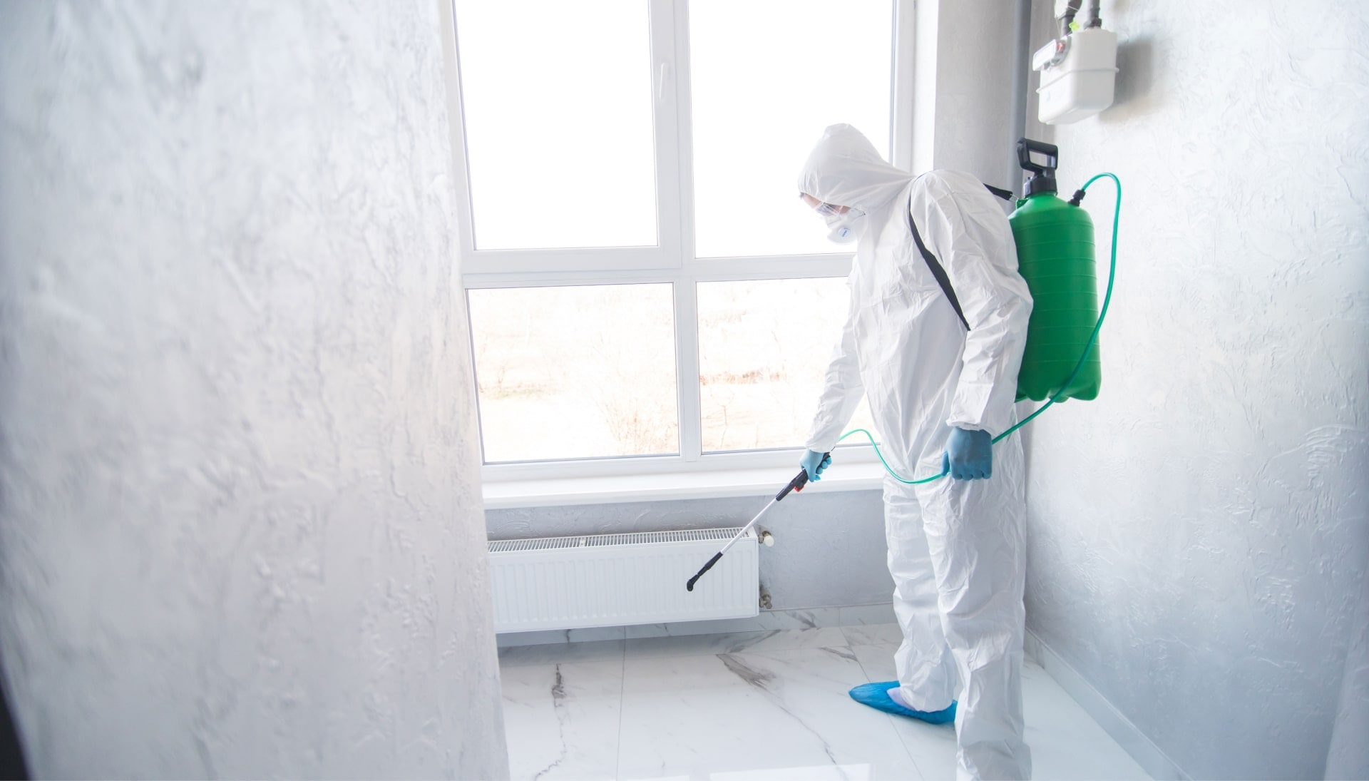 Mold Inspection Services in Arlington